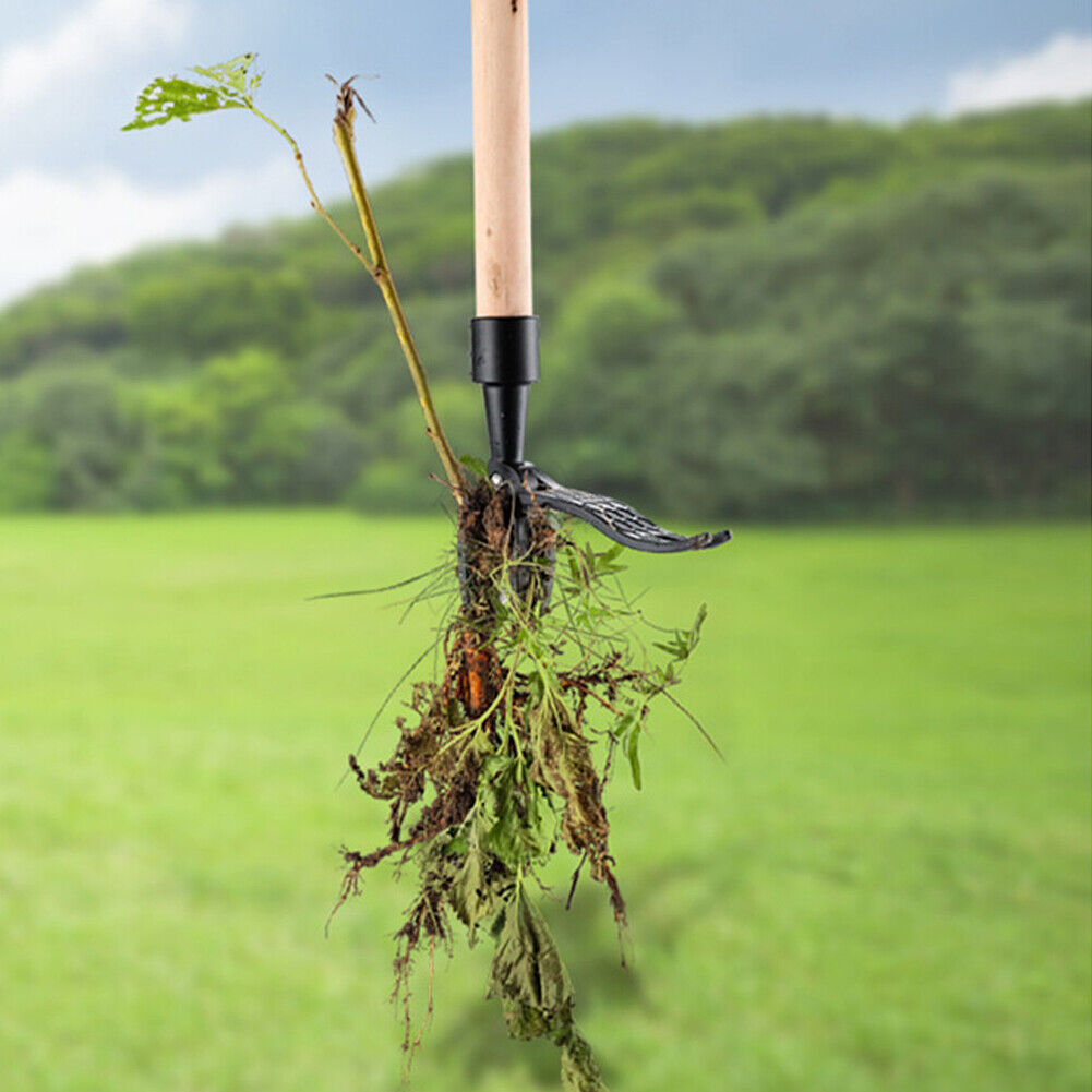 Sustainable Garden Guardian: EcoSmart Weed Extractor